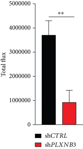 Details are in the caption following the image