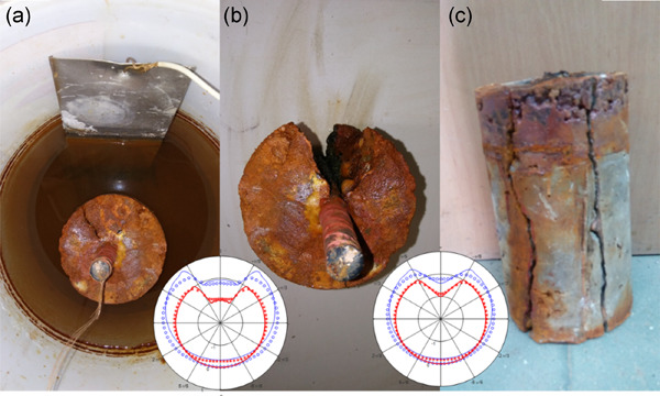 Stress distribution in thick-walled cylinder due to non-uniform radial pressure on the example of reinforcement corrosion in concrete