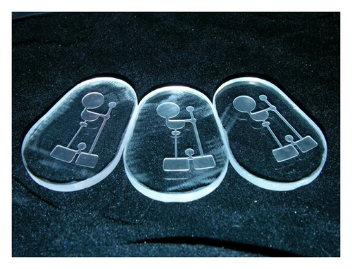 Details are in the caption following the image