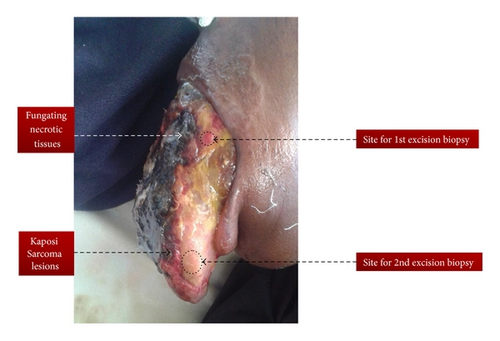 Details are in the caption following the image Details are in the caption following the image