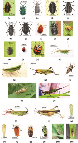 Details are in the caption following the image Details are in the caption following the image