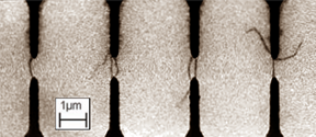 pssb201300565-gra-0001