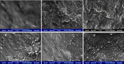 Preparation of High-Performance Membranes Derived from Poly(4-methyl-1-pentene)/Zinc Oxide Particles