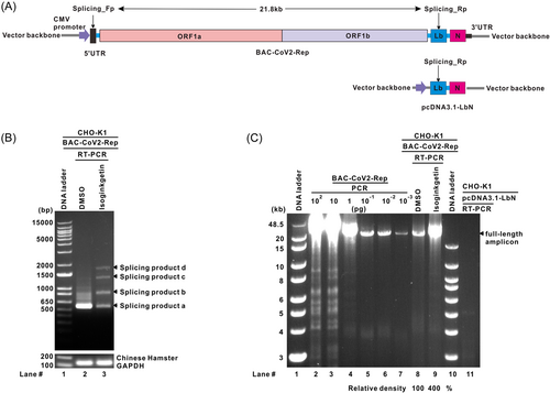 Details are in the caption following the image Details are in the caption following the image