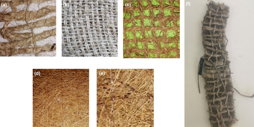 Details are in the caption following the image Details are in the caption following the image