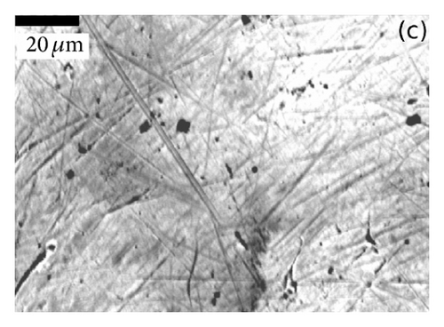 Details are in the caption following the image