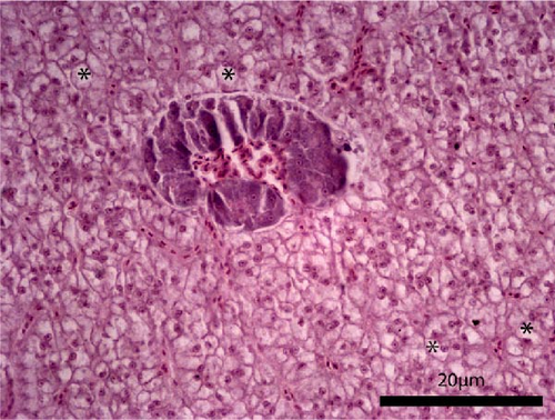 Details are in the caption following the image