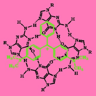 Interaction of Malachite Green with Guanine-Rich Single-Stranded DNA: Preferential Binding to a G-Quadruplex