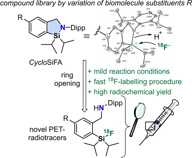 CycloSiFA: The Next Generation of Silicon-Based Fluoride Acceptors for Positron Emission Tomography (PET)