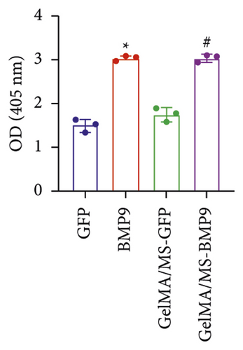 Details are in the caption following the image