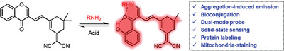 A versatile AIE fluorogen with selective reactivity to primary amines for monitoring amination, protein labeling, and mitochondrial staining