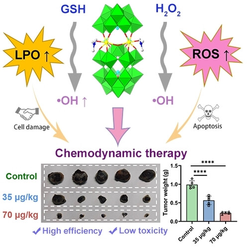 A Highly Biocompatible Polyoxotungstate with Fenton-like Reaction Activity for Potent Chemodynamic Therapy of Tumors
