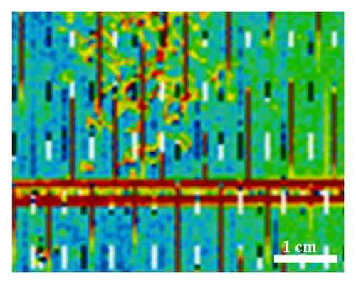 Details are in the caption following the image Details are in the caption following the image