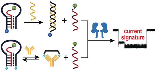 Analyte-Triggered DNA-Probe Release from a Triplex Molecular Beacon for Nanopore Sensing
