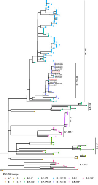 A single dose of the Biontech/Pfizer BNT162b2 vaccine protected elderly residents from severe COVID-19 during a SARS-coronavirus-2 outbreak in a senior citizen home in Germany