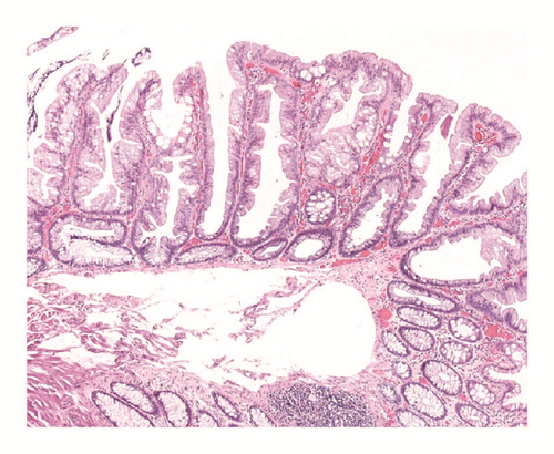 Details are in the caption following the image Details are in the caption following the image