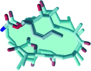 Total Synthesis and Configurational Assignment of (−)-Dictyostatin, a Microtubule-Stabilizing Macrolide of Marine Sponge Origin