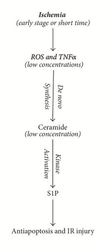 Details are in the caption following the image