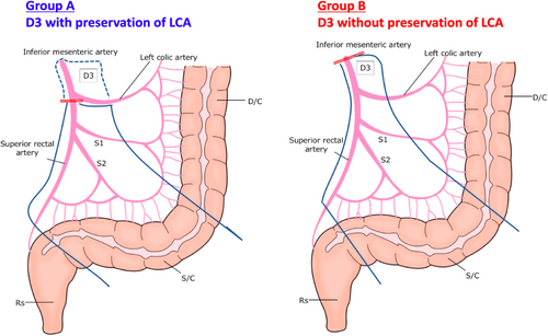 Details are in the caption following the image Details are in the caption following the image
