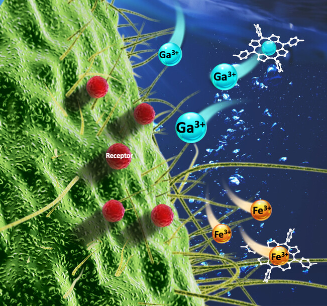 Breaking Iron Homeostasis: Iron Capturing Nanocomposites for Combating Bacterial Biofilm