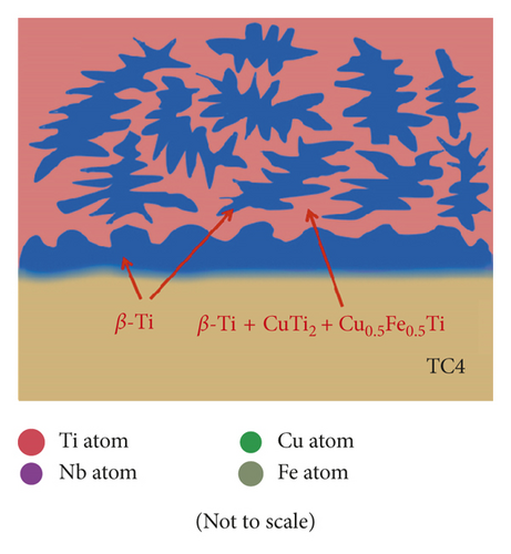 Details are in the caption following the image Details are in the caption following the image
