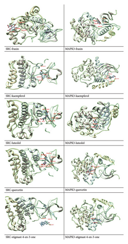 Details are in the caption following the image