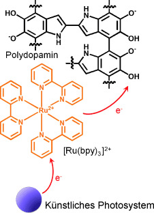Polydopamine as a Biomimetic Electron Gate for Artificial Photosynthesis
