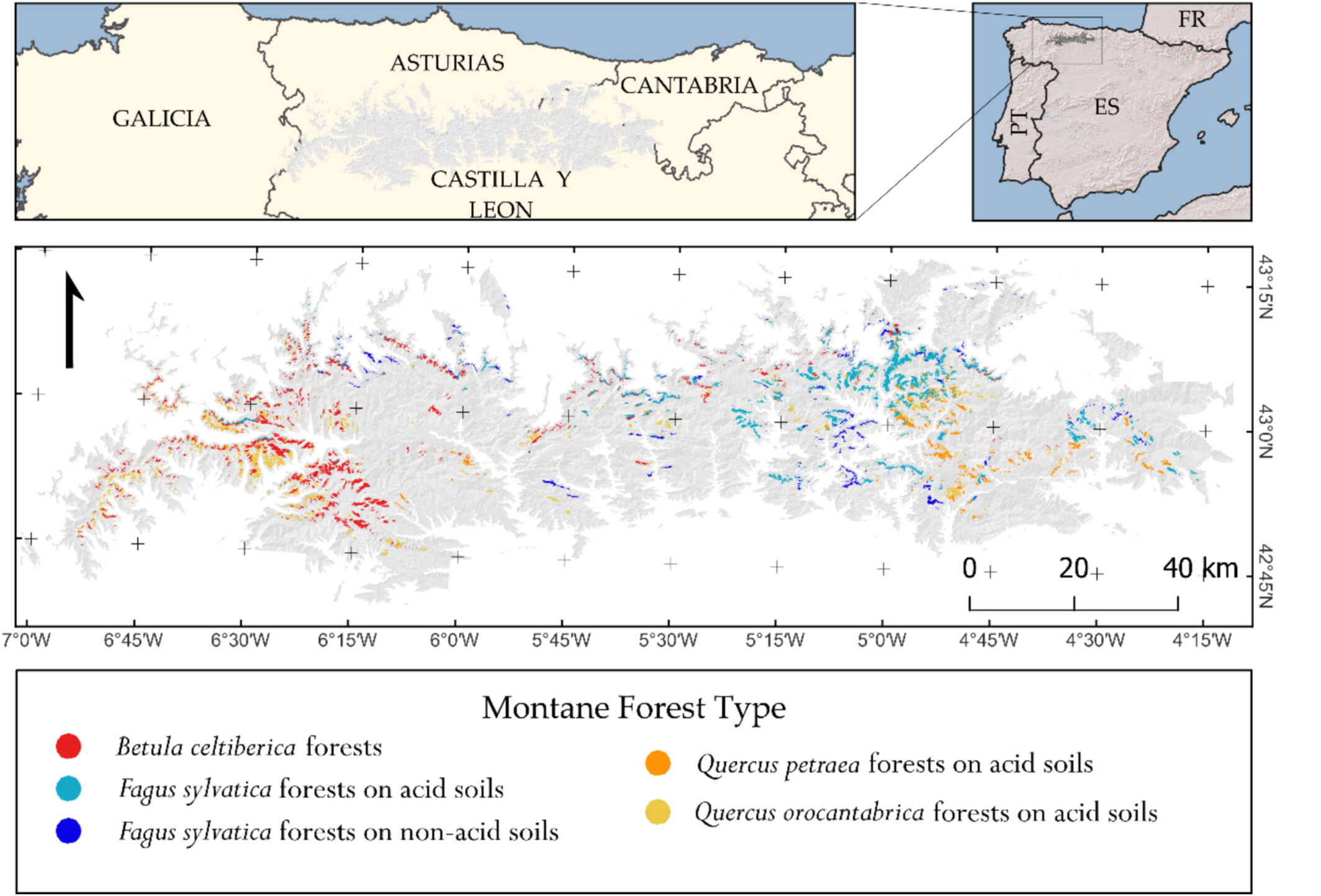 Timberline Patterns and Dynamics Depend on Forest Type, Regional Climate, and Topography in the Cantabrian Mountains (Spain)
