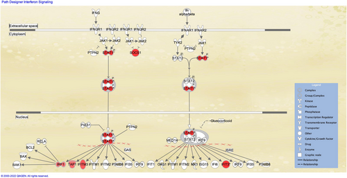 Details are in the caption following the image Details are in the caption following the image