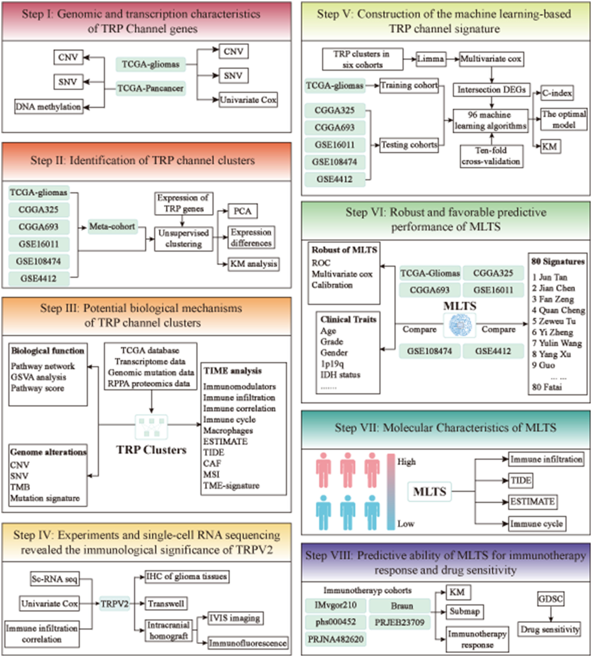 Multicenter integration analysis of TRP channels revealed potential mechanisms of immunosuppressive microenvironment activation and identified a machine learning-derived signature for improving outcomes in gliomas