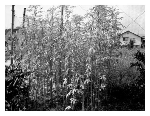 Details are in the caption following the image