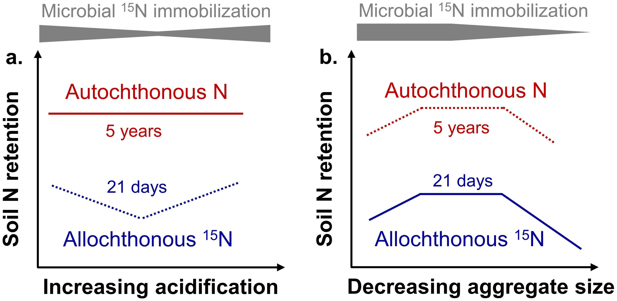 Microbial Immobilization Shapes the Non-Linear Response of Allochthonous Nitrogen Retention to Grassland Acidification Within Soil Aggregates
