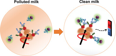 Swarming Magnetic Microrobots for Pathogen Isolation from Milk