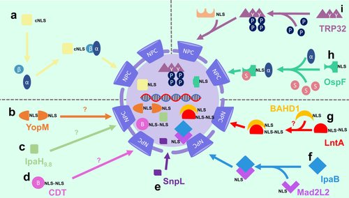 Details are in the caption following the image Details are in the caption following the image