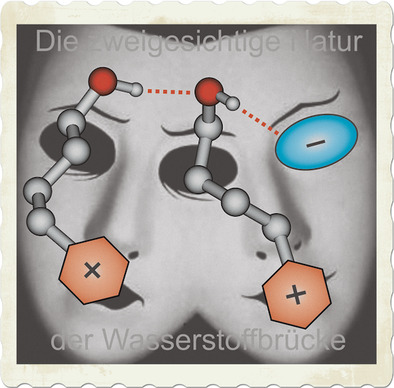 Die zweigesichtige Natur der Wasserstoffbrückenbindung in hydroxylfunktionalisierten ionischen Flüssigkeiten, offenbart durch Neutronendiffraktometrie und Molekulardynamik-Simulation