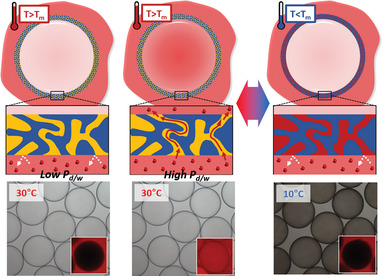 Smart Microcapsules with Molecular Polarity- and Temperature-Dependent Permeability