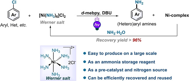 Werner Salt as Nickel and Ammonia Source for Photochemical Synthesis of Primary Aryl Amines