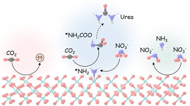 The Tandem Nitrate and CO2 Reduction for Urea Electrosynthesis: Role of Surface N-Intermediates in CO2 Capture and Activation