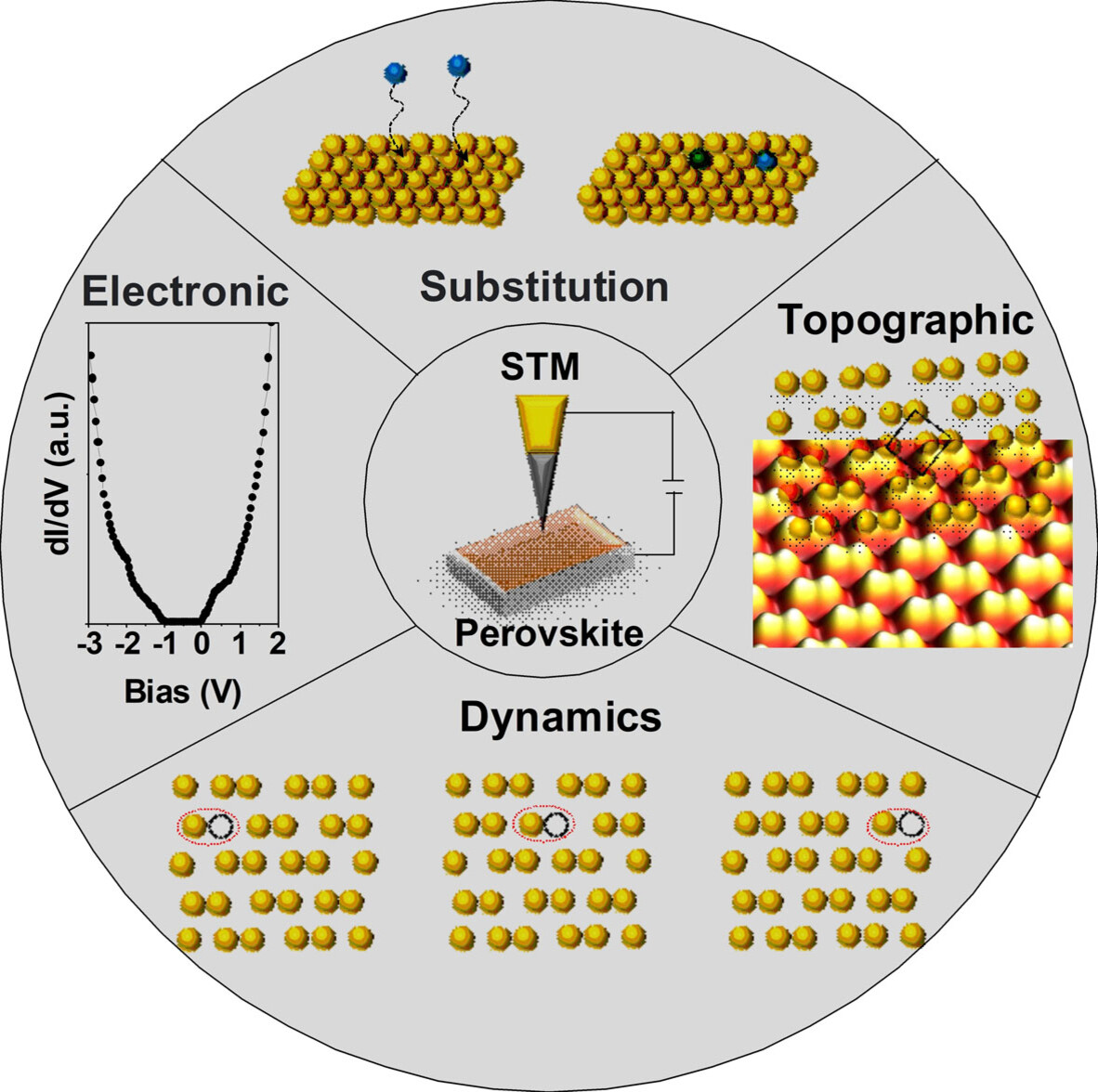 Atomic Level Insights into Metal Halide Perovskite Materials by Scanning Tunneling Microscopy and Spectroscopy