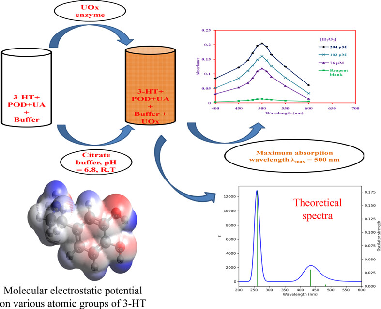 A simple uric acid assay by using 3-hydroxytyramine as a chromogenic colorimetric sensor in human serum samples: Density functional theory supported mechanistic approach