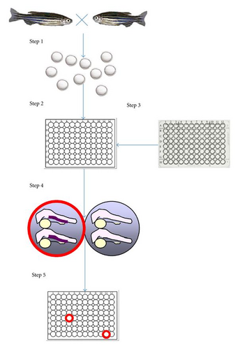 Details are in the caption following the image