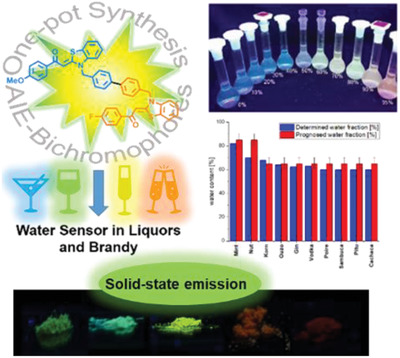 Solid-state emissive biphenylene bridged bisaroyl-S,N-ketene acetals as distinct aggregation-induced enhanced emitters and fluorometric probes