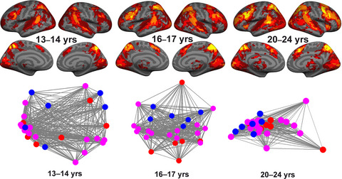 Neural activity patterns between different executive tasks are more similar in adulthood than in adolescence