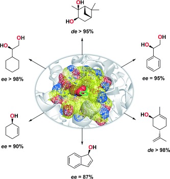 Engineering Rieske Non-Heme Iron Oxygenases for the Asymmetric Dihydroxylation of Alkenes