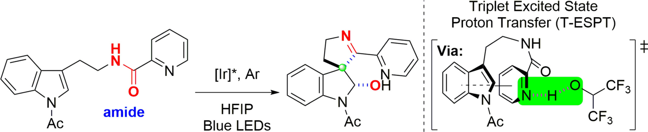 Energy Transfer-Mediated, Triplet Excited State Proton Transfer-Enabled Dearomatization of Indole Derivatives with Amide Functionalities