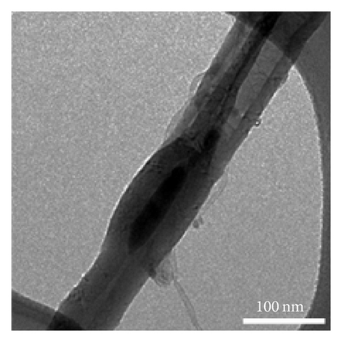Details are in the caption following the image
