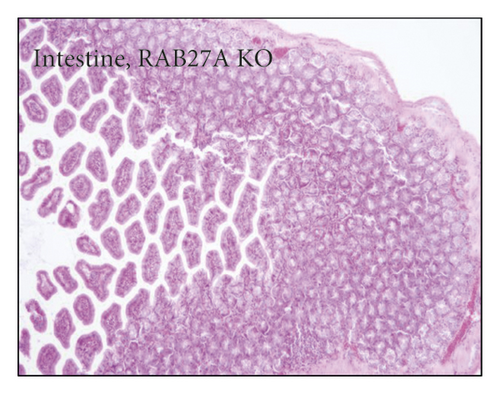 Details are in the caption following the image
