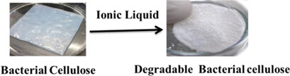 Ionic Liquid Based Treatment – A Potential Strategy to Modify Bacterial Cellulose