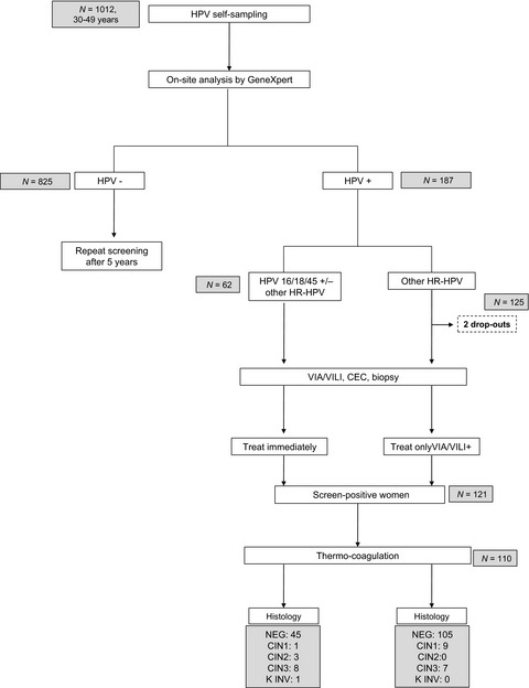 Cervical cancer screening in a low-resource setting: a pilot study on an HPV-based screen-and-treat approach