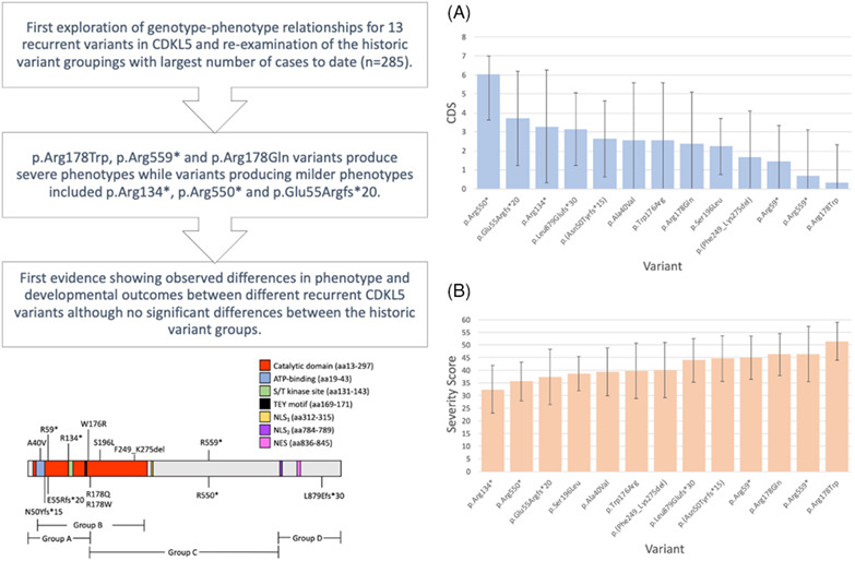 Exploring genotype-phenotype relationships in the CDKL5 deficiency disorder using an international dataset